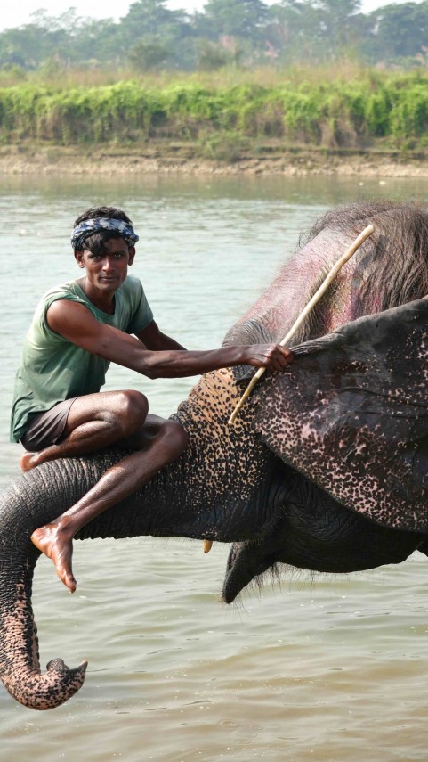 CHITWAN NATIONAL PARK - CHITWAN