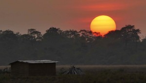 MANAS NATIONAL PARK